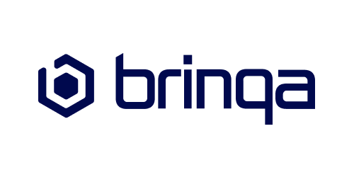 brinqa brinqa Logo