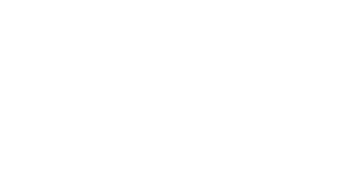 The logo features four stylized lines resembling wings or speed lines next to the text "SCIENTIFIC SYSTEMS" in white on a